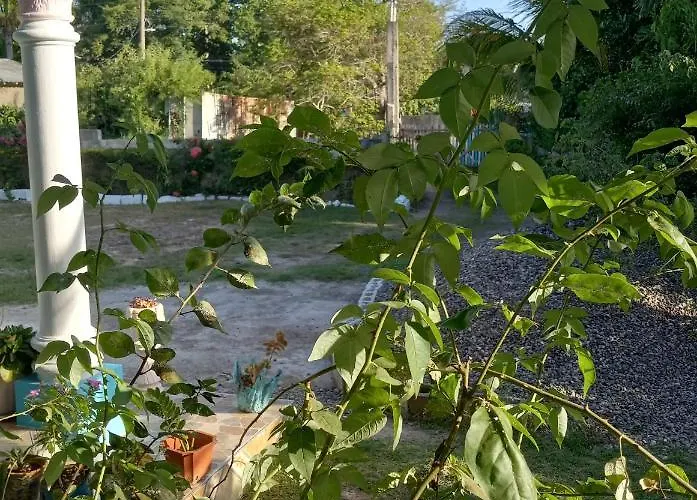 The Gibson's Palace * Ocho Ríos